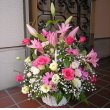 群馬県前橋市花屋ねこじゃらしの花　おまかせアレンジメント